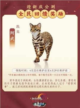 天龙八部私服魔幻